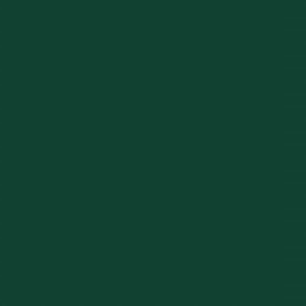 Abri de jardin avec toit prolongé acier anthracite 277x110cm Vert