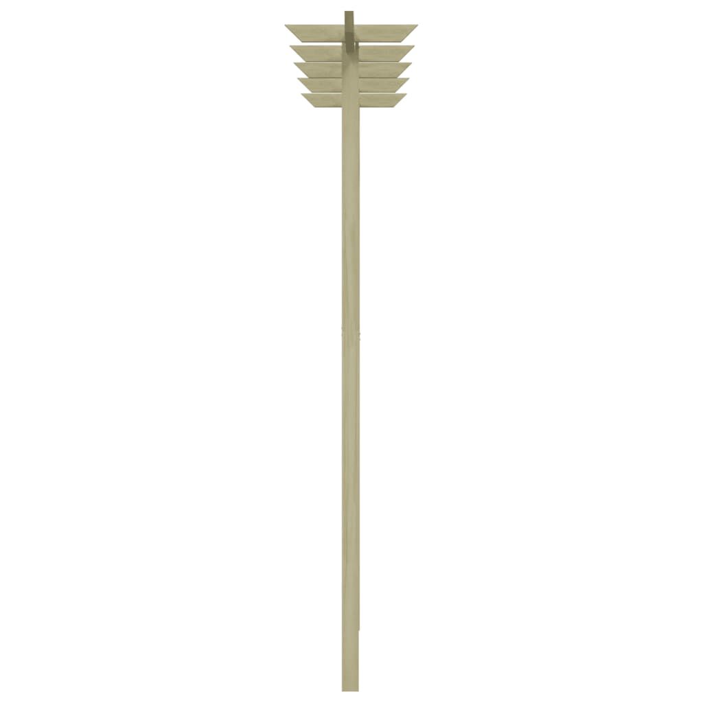 Pergola bois pin – Idéale plantes grimpantes