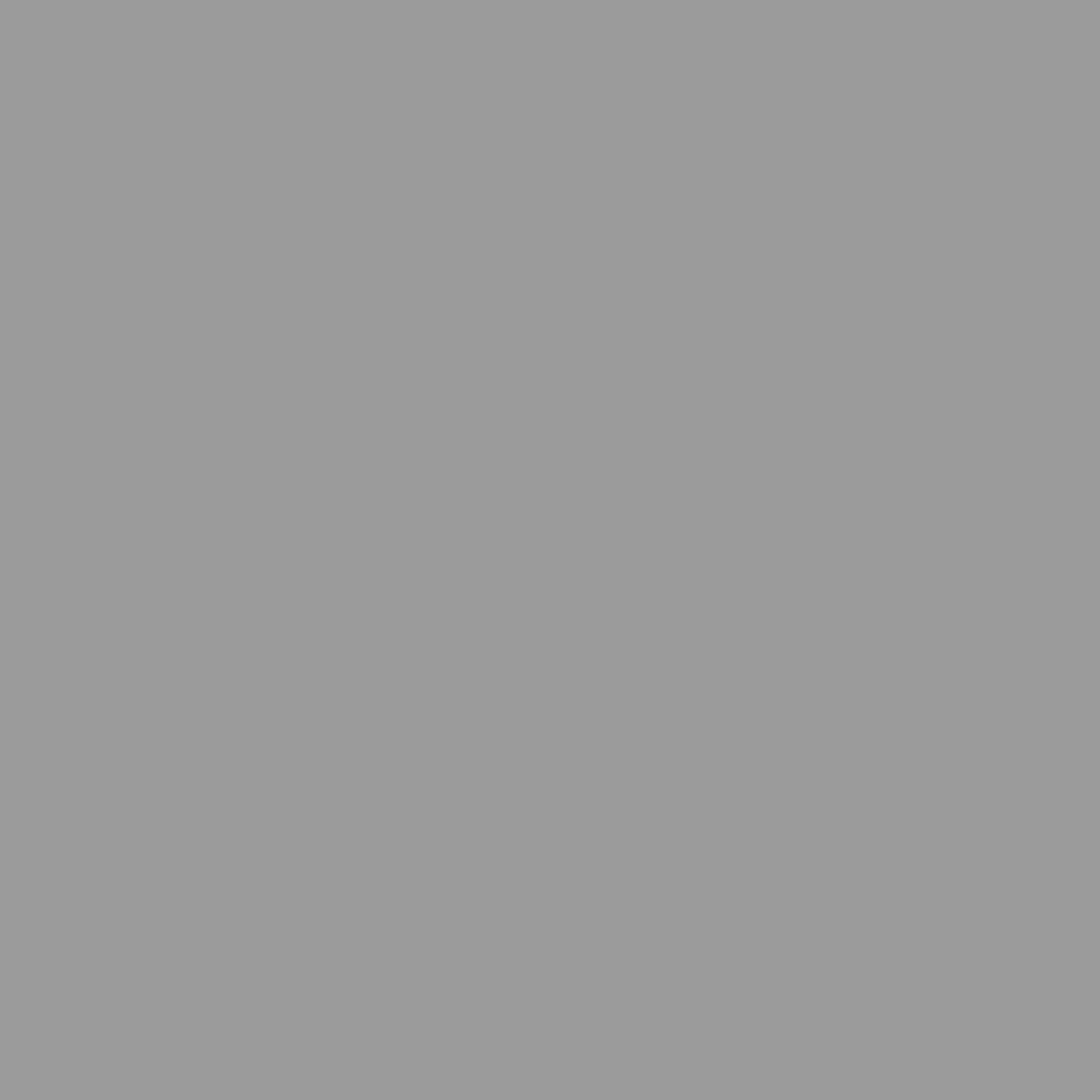 Abri de jardin acier gris clair 191x130x198 cm